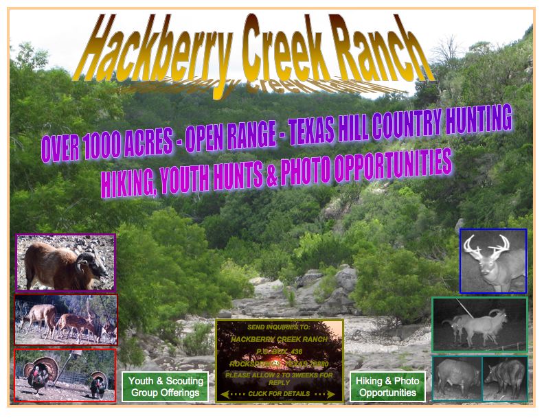 Hackberry Creek Ranch | Open range Texas Hill Country hunting | Hiking, youth hunts, photo opportunities